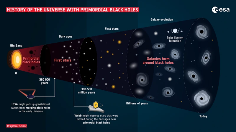 4. Primordial Black Holes