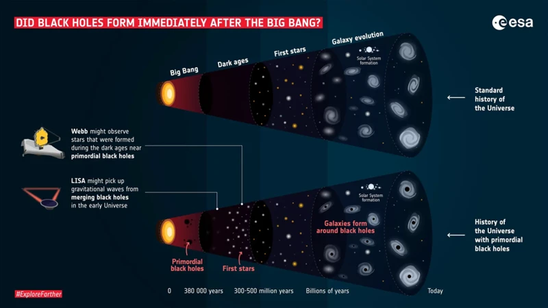 Black Holes And Dark Matter: The Connection