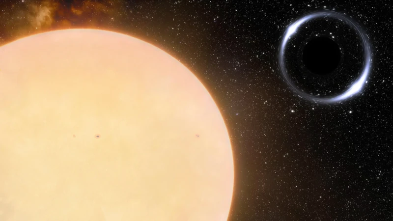 Black Holes And Stellar Evolution