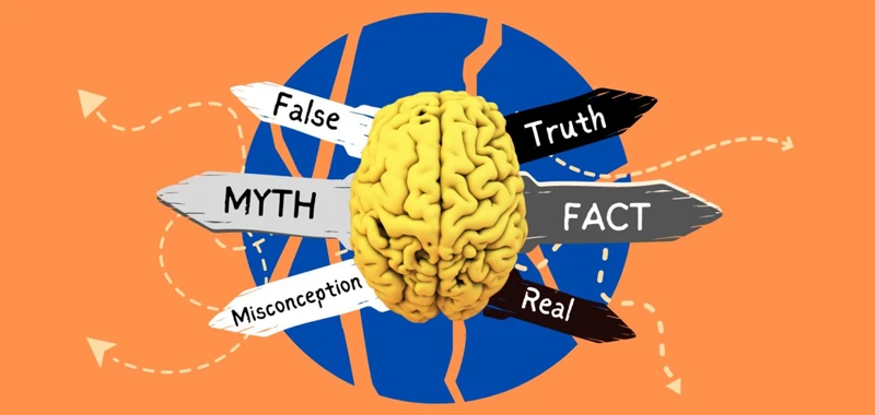 Common Myths And Misconceptions