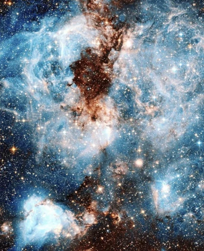 Cygnus As A Stellar Nursery