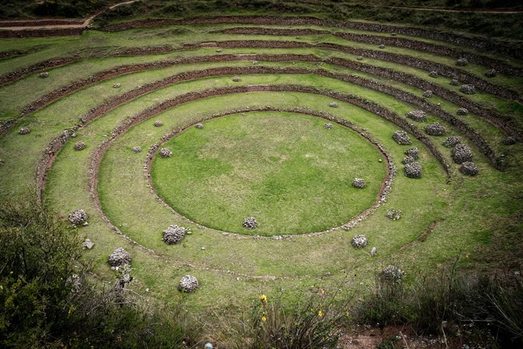 Inca Agriculture Techniques