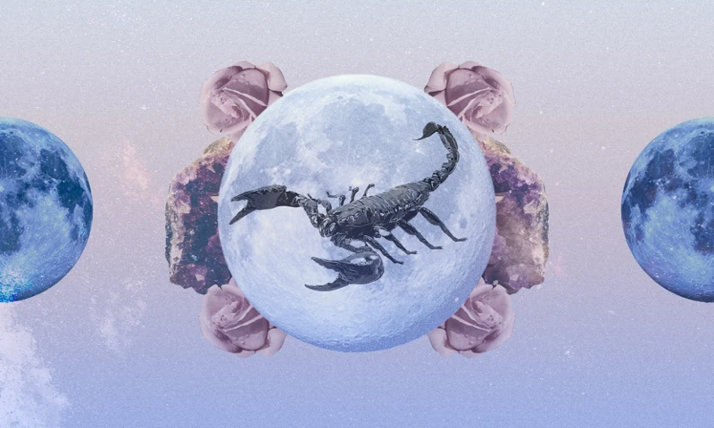 Moon Sign Compatibility In Relationships