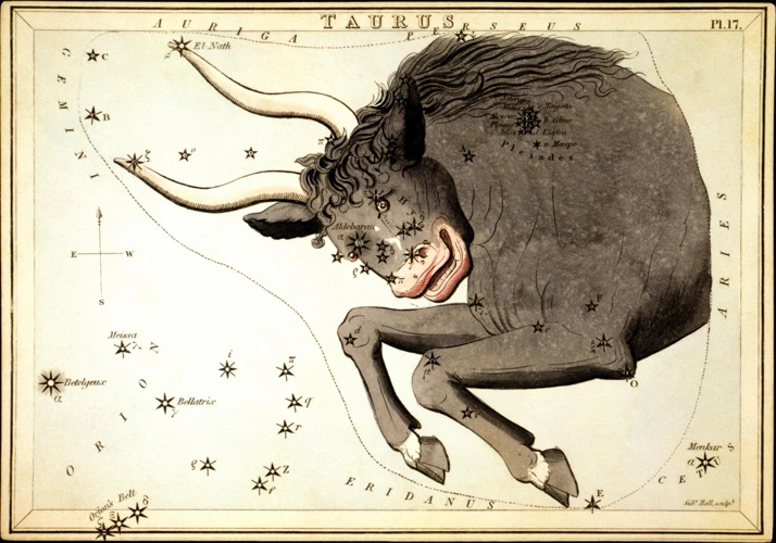 Taurus: The Earthy Bull