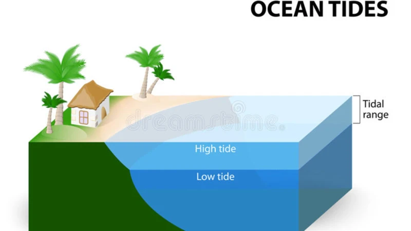 The Basics Of Tides