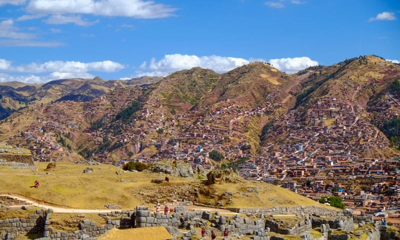 The Inca Economy