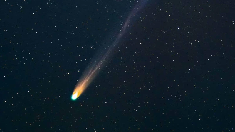 The Role Of Comets In Meteor Showers